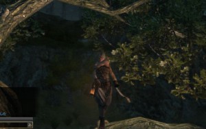 ドラゴンズドグマオンライン